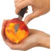 Good Cook Touch Paring Knife, 2-Pack(2-Pack)