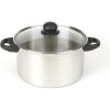 GoodCook Basics Stainless Steel Deluxe Stock Pot with Glass Lid, 8 quart, Silver(5 Quarts)